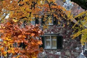 Moving home in Autumn